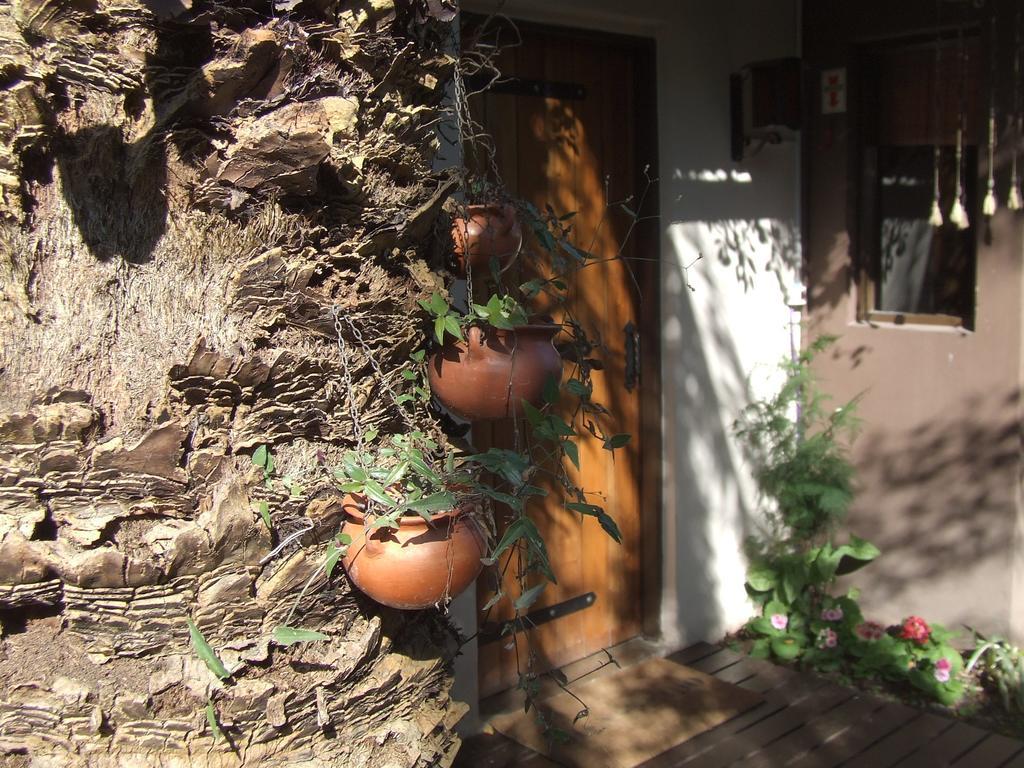 Hosteria Pascana 산살바도르 드 쥬쥬이 외부 사진